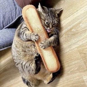 Meet your Posher, Nehemie